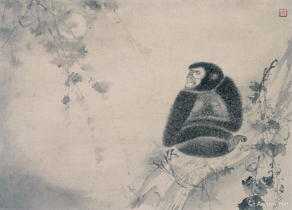 猿猴015