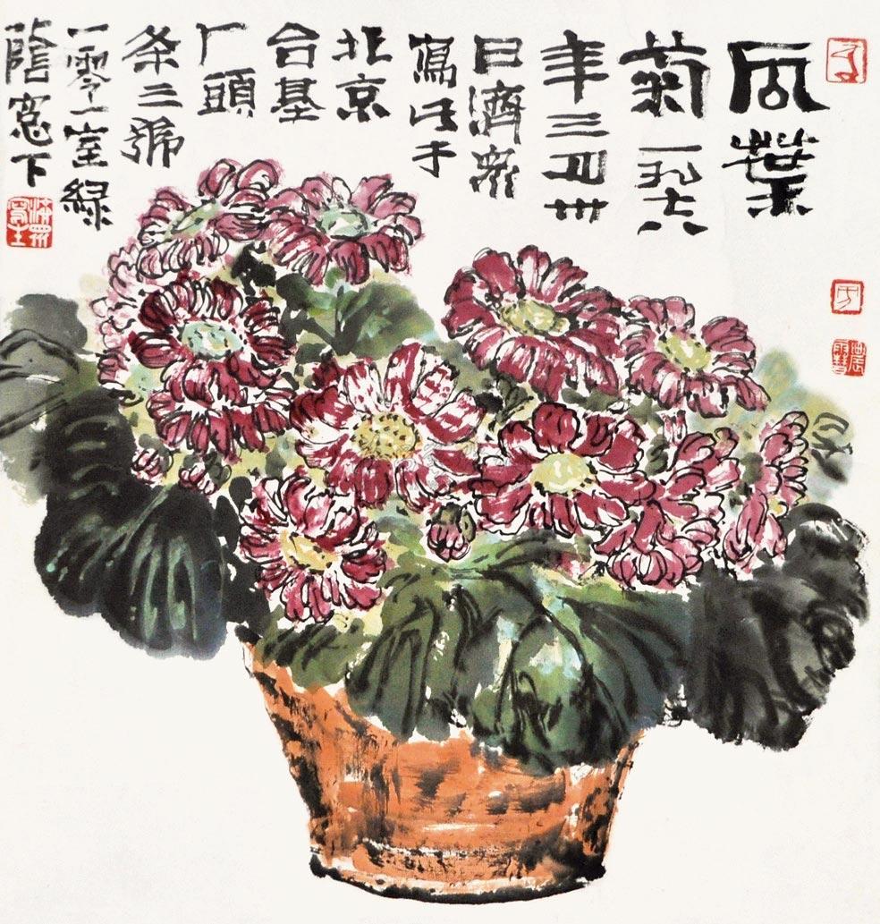 1251 瓜叶菊 镜心