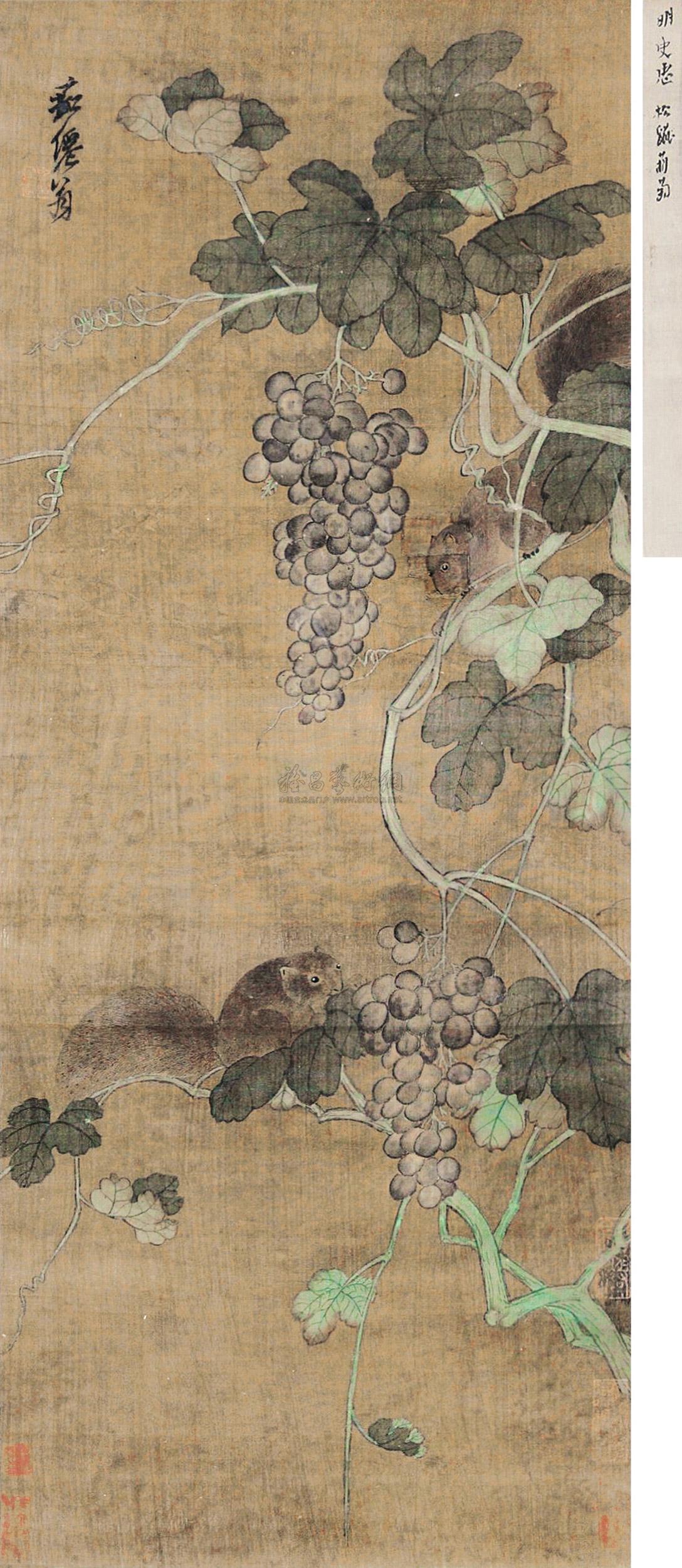 0148 松鼠葡萄 立轴 设色绢本