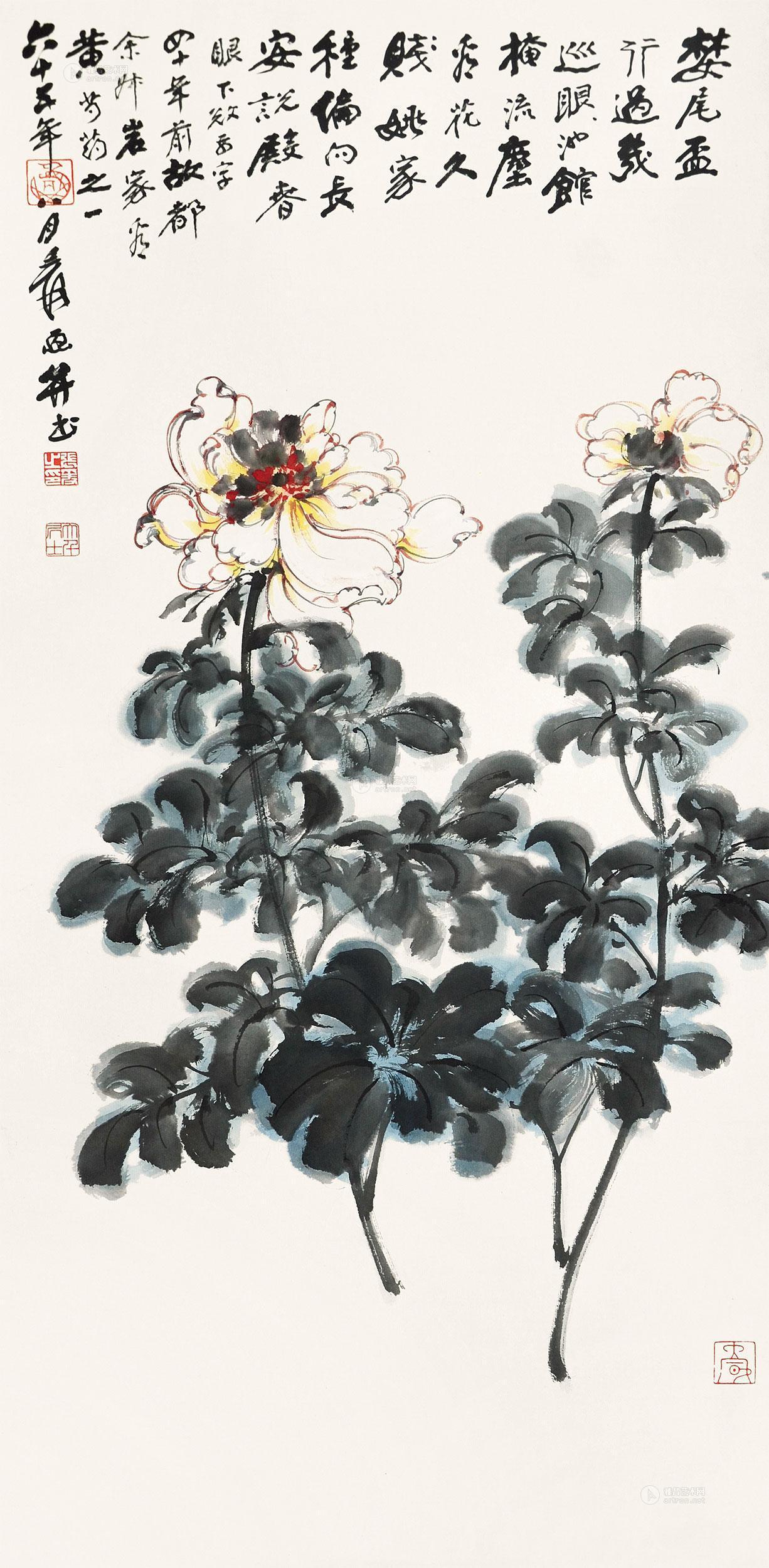 0148 芍药花花卉 片 纸本