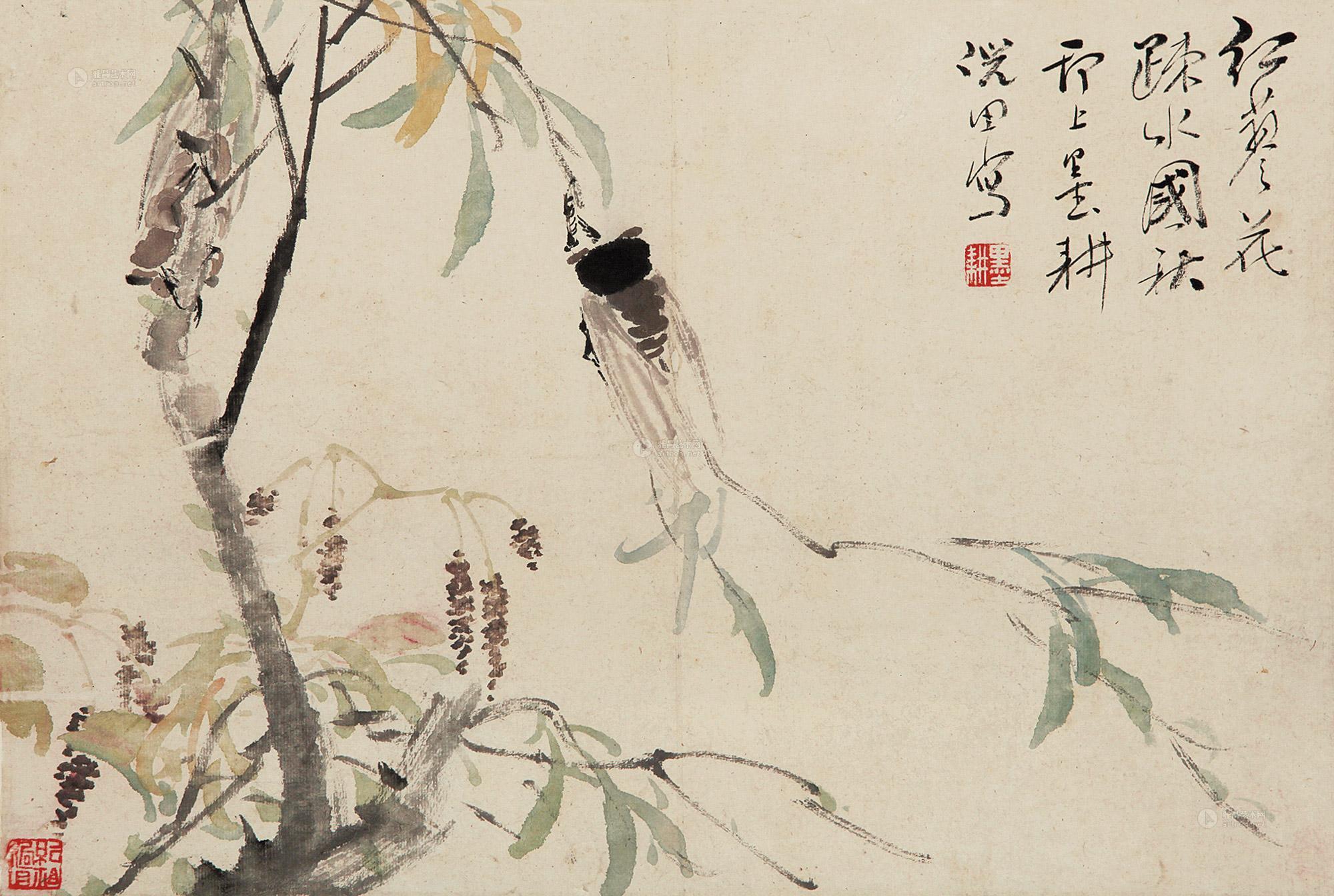 秋蝉 听泉简谱歌谱