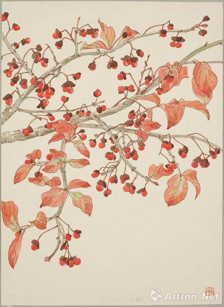 《八树(花椒树)》 1975年 30×21.5cm