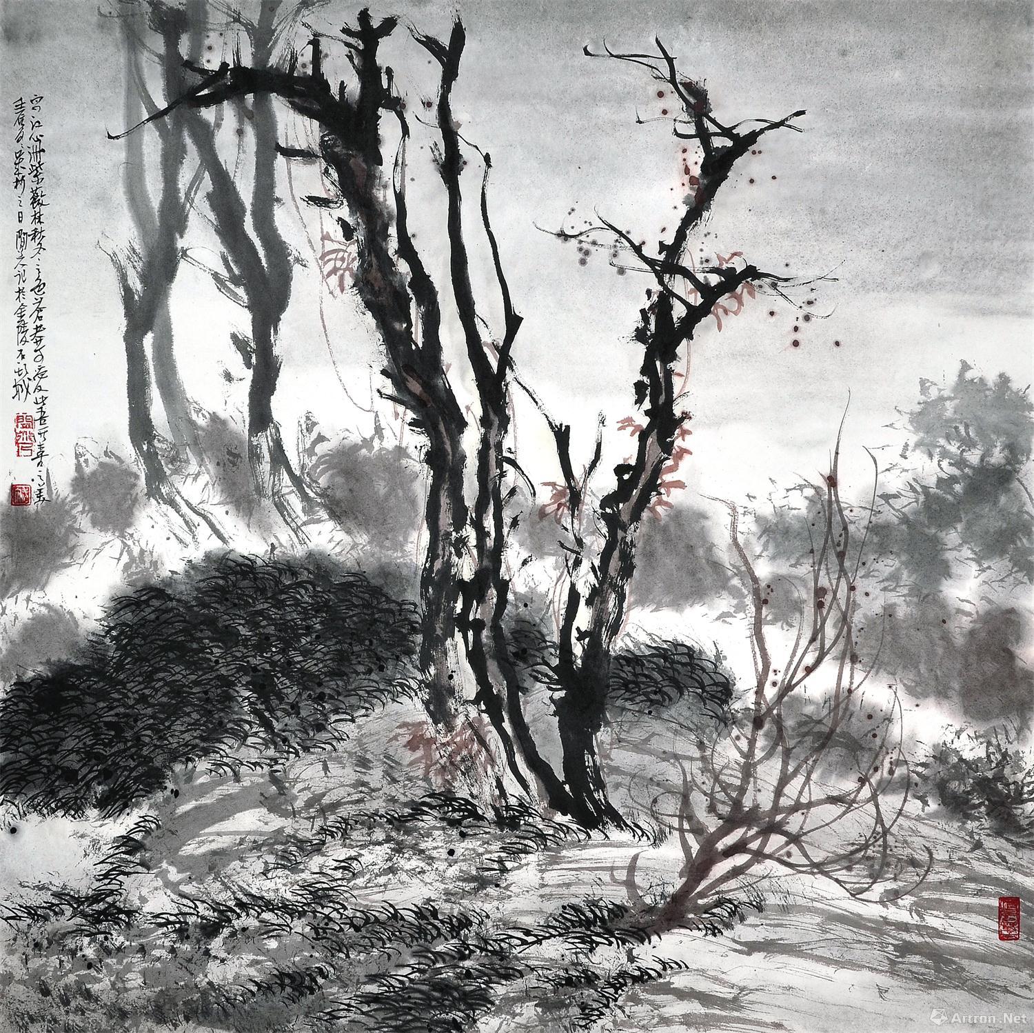 杜斌 江心林木
