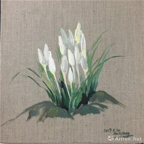 《雪滴花》