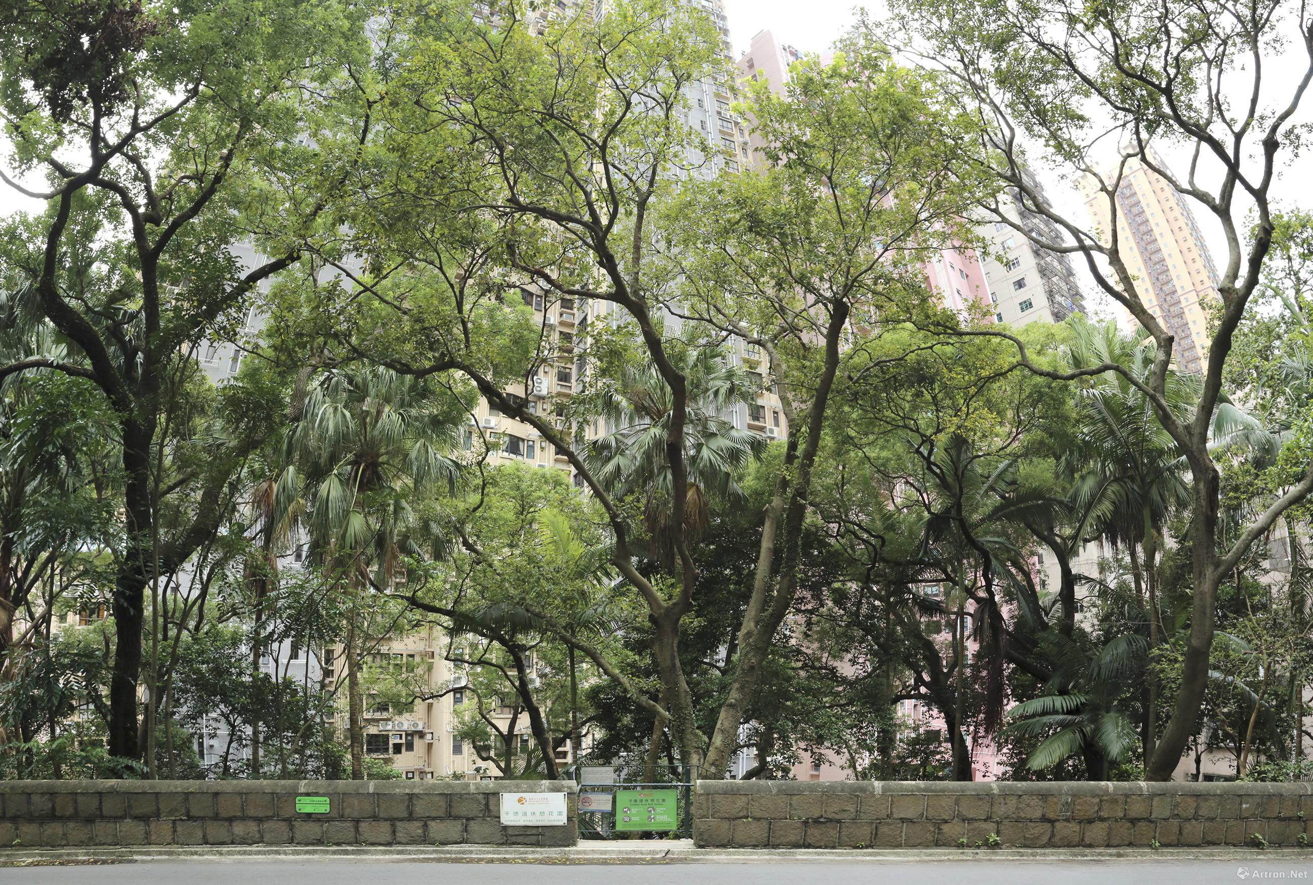 干德道休憩花园街景