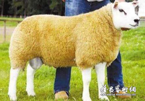 图片版权归原作者所有