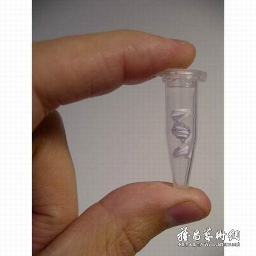 图片版权归原作者所有