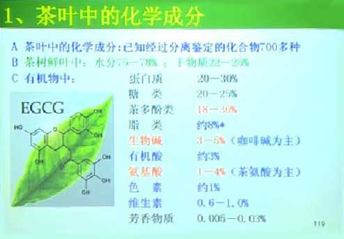 茶叶中的化学成分