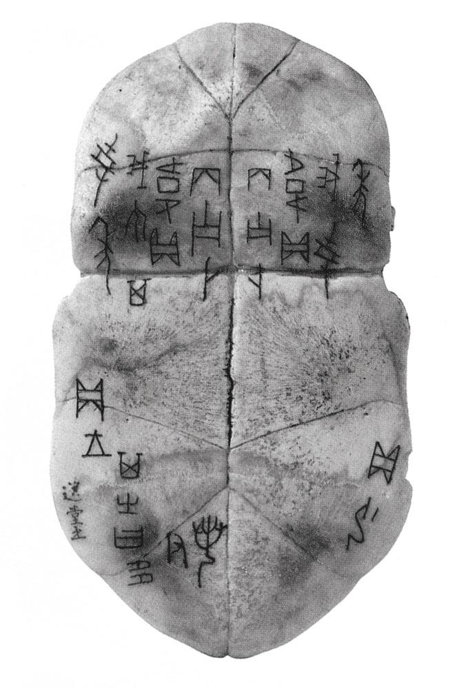 书甲骨卜辞龟甲<br>^-^Oracle Bone with Divinatory Inscriptions