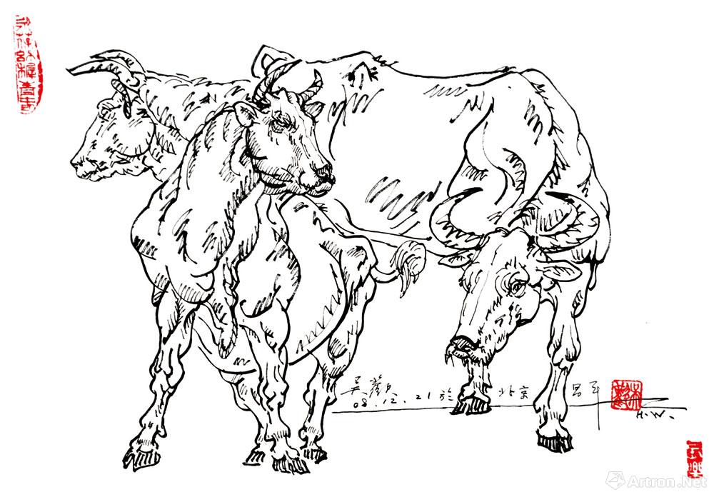 画牛的全身的步骤素描图片
