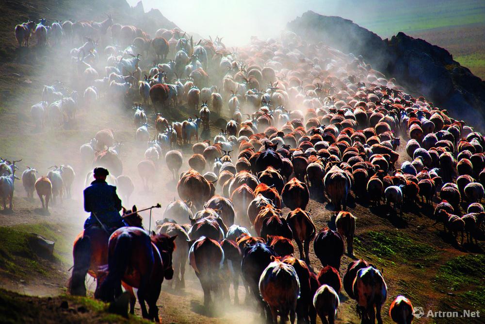 吴建斌作品：千年牧道003 2013年10月 夏牧场 逆光之下，羊群的羊如玉石一样晶莹