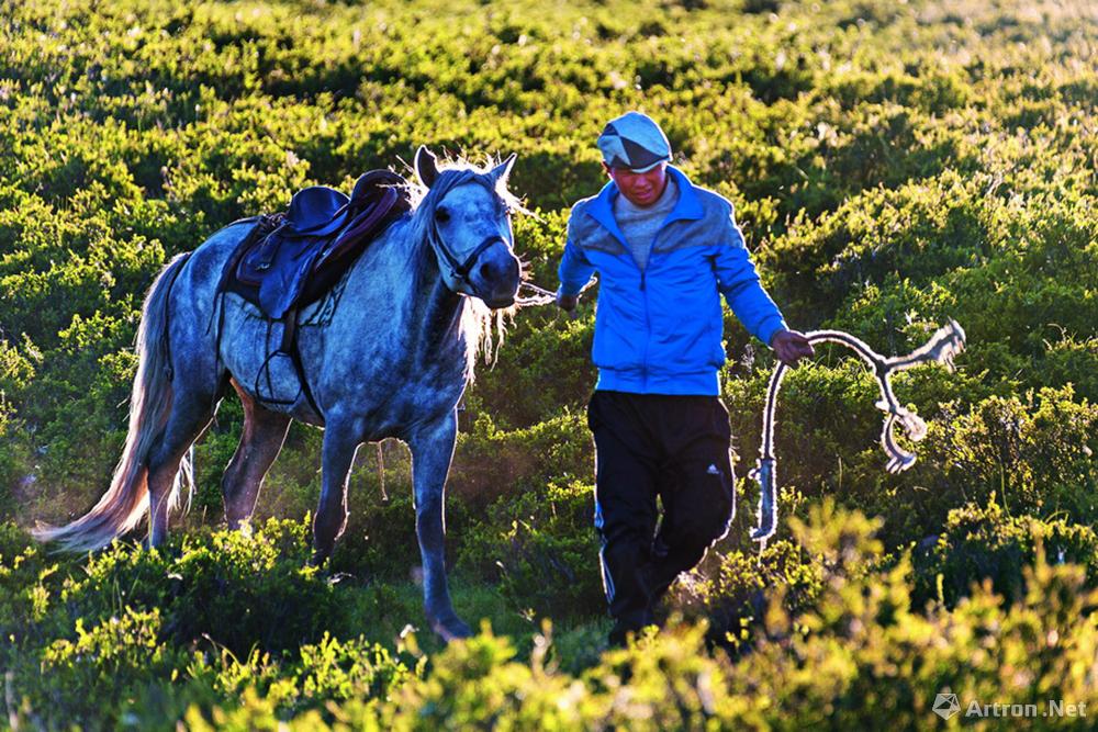 吴建斌作品：千年牧道008 2013年7月 中牧场 夕阳下的牧民和马匹在夕阳下