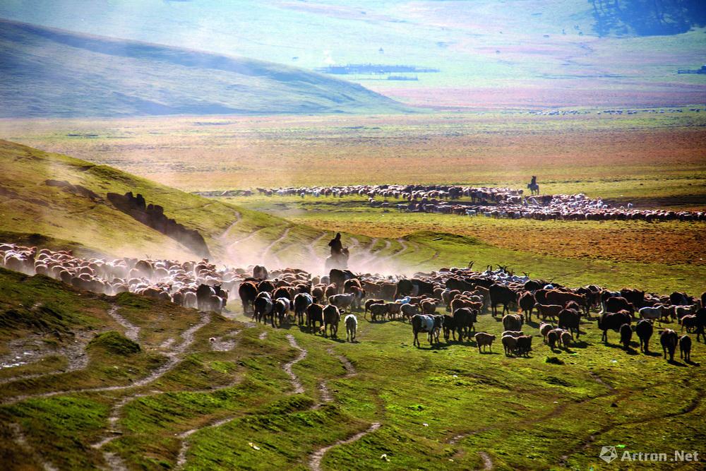吴建斌作品：千年牧道031 2013年10月 夏牧场 羊群要过湿地