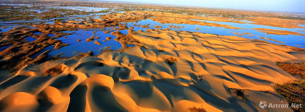 王金作品：新疆塔克拉玛干沙漠
