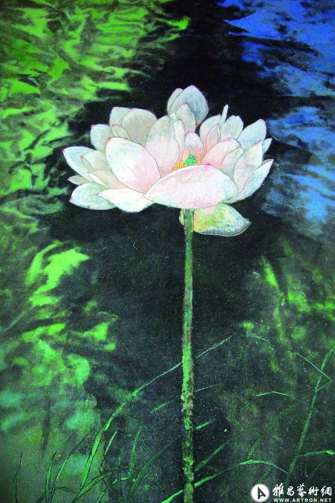 梦荷^_^Lotus