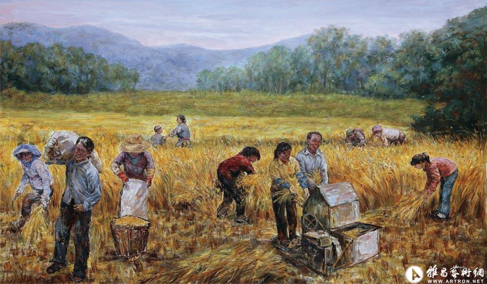 农民收割水稻图片绘画图片