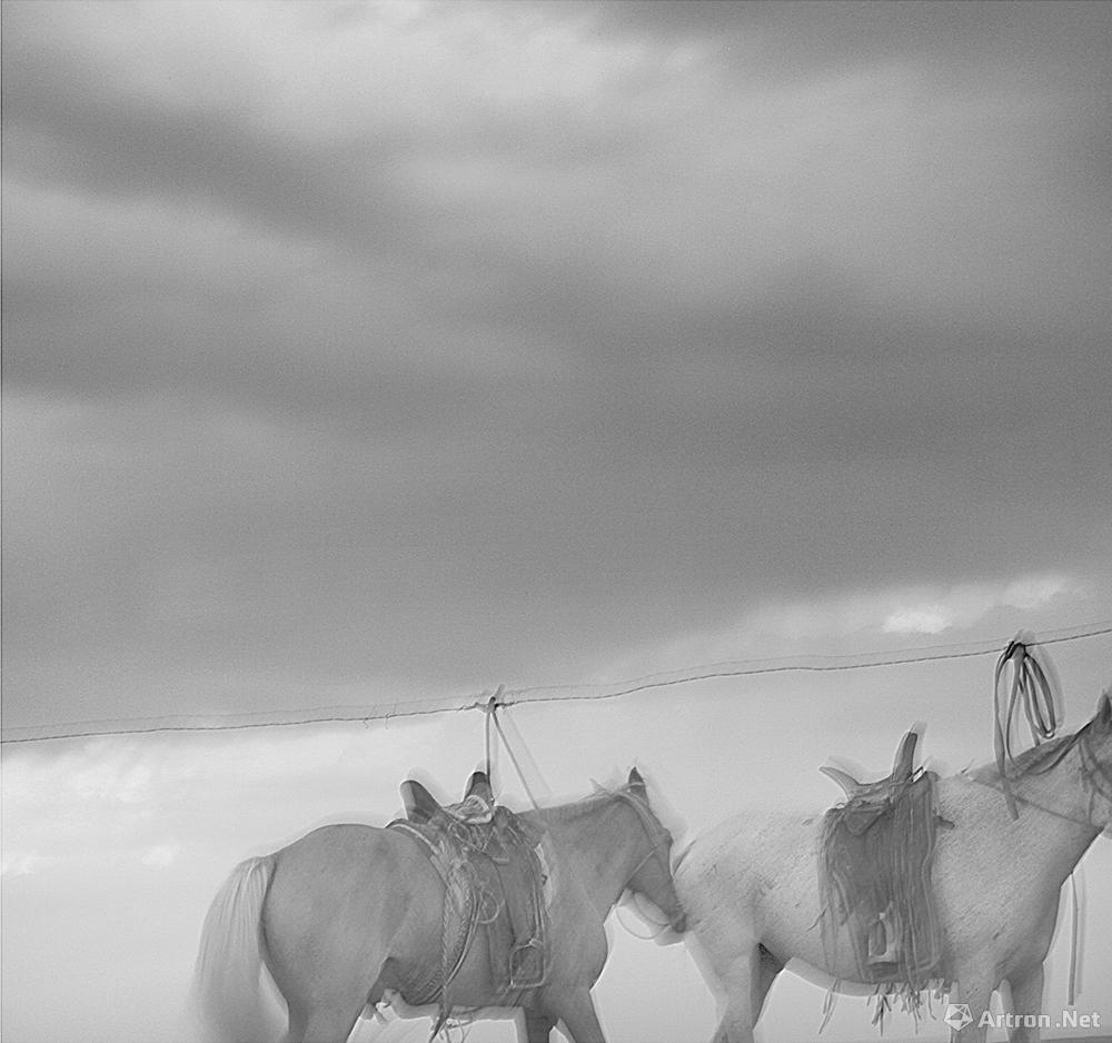 蒙古马.乌蒙.2010.5