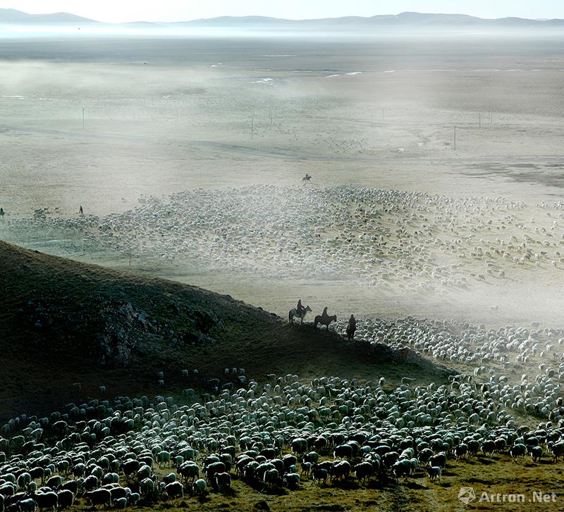 李东平作品：李东平摄影作品精选集23 白云朵朵羊群如海