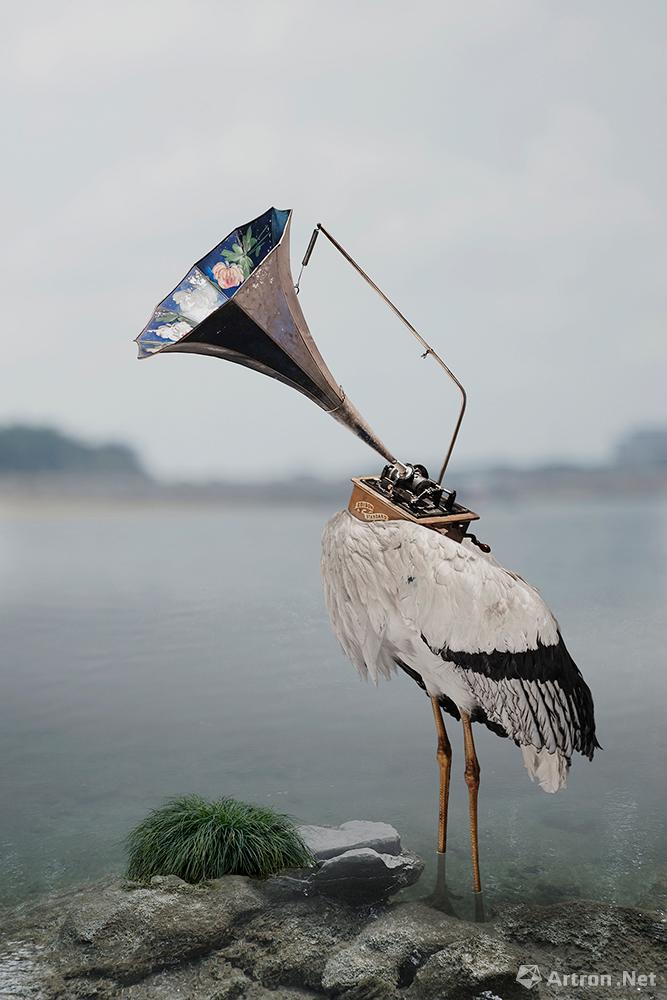 杨洋作品：创意系列之进化：鹳鸟留声机