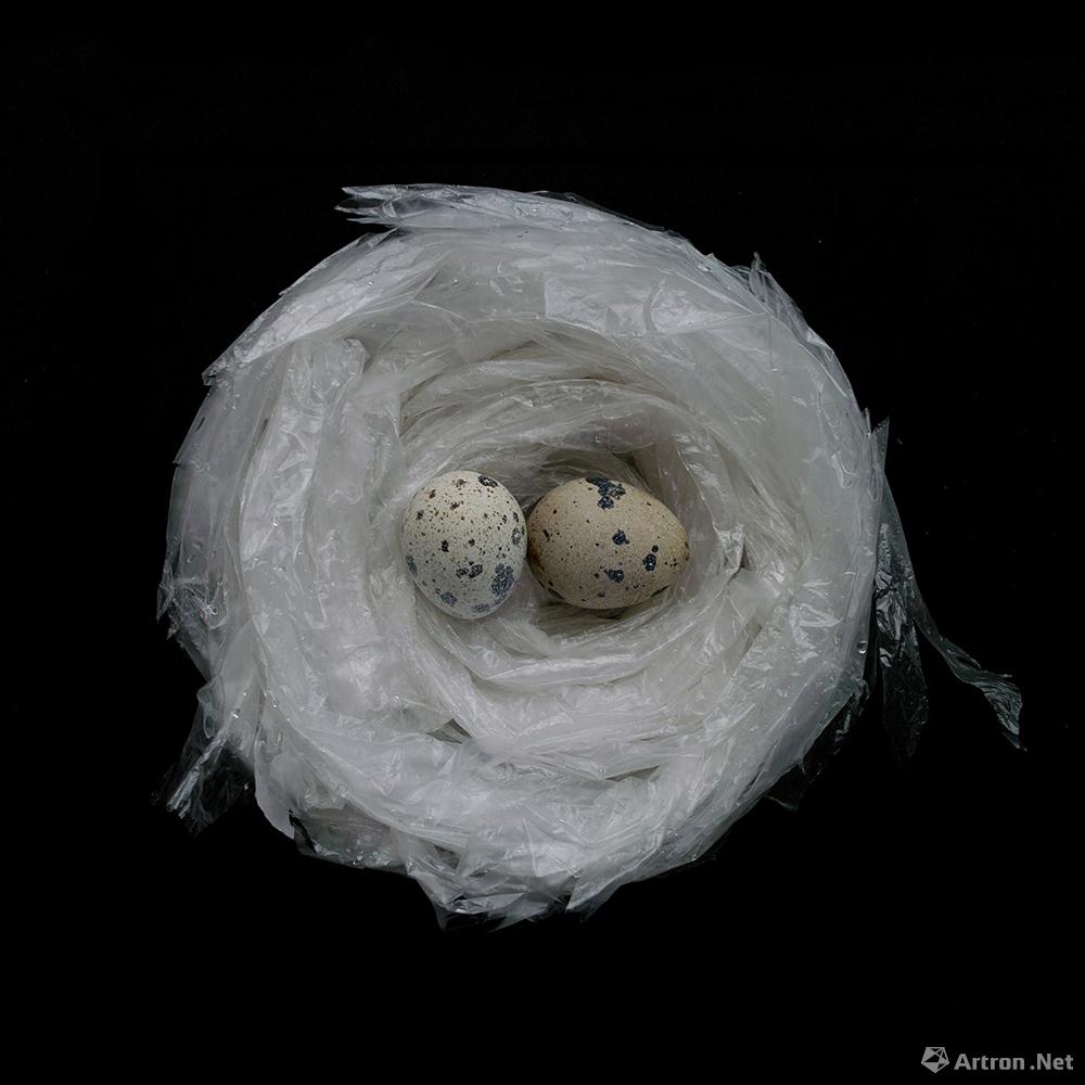 杨洋作品：动物系列之巢：塑料袋