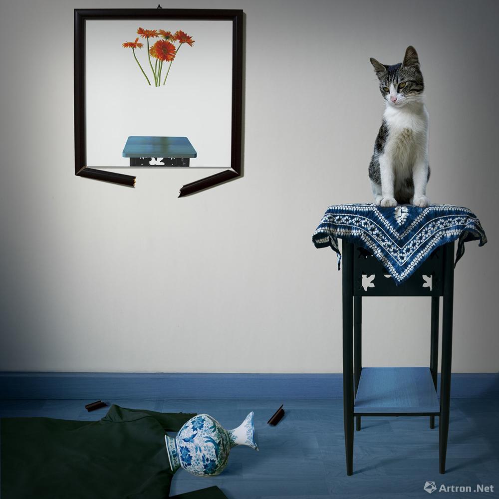 杨洋作品：造相系列之猫与青花瓷003