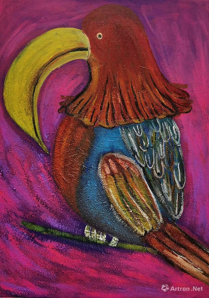 哥斯达黎加大嘴鸟