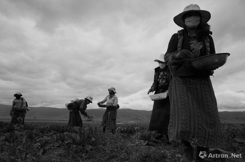 王建华作品：田间劳作的妇女
