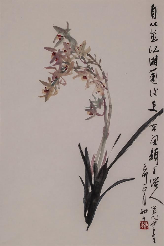 兰花写生
