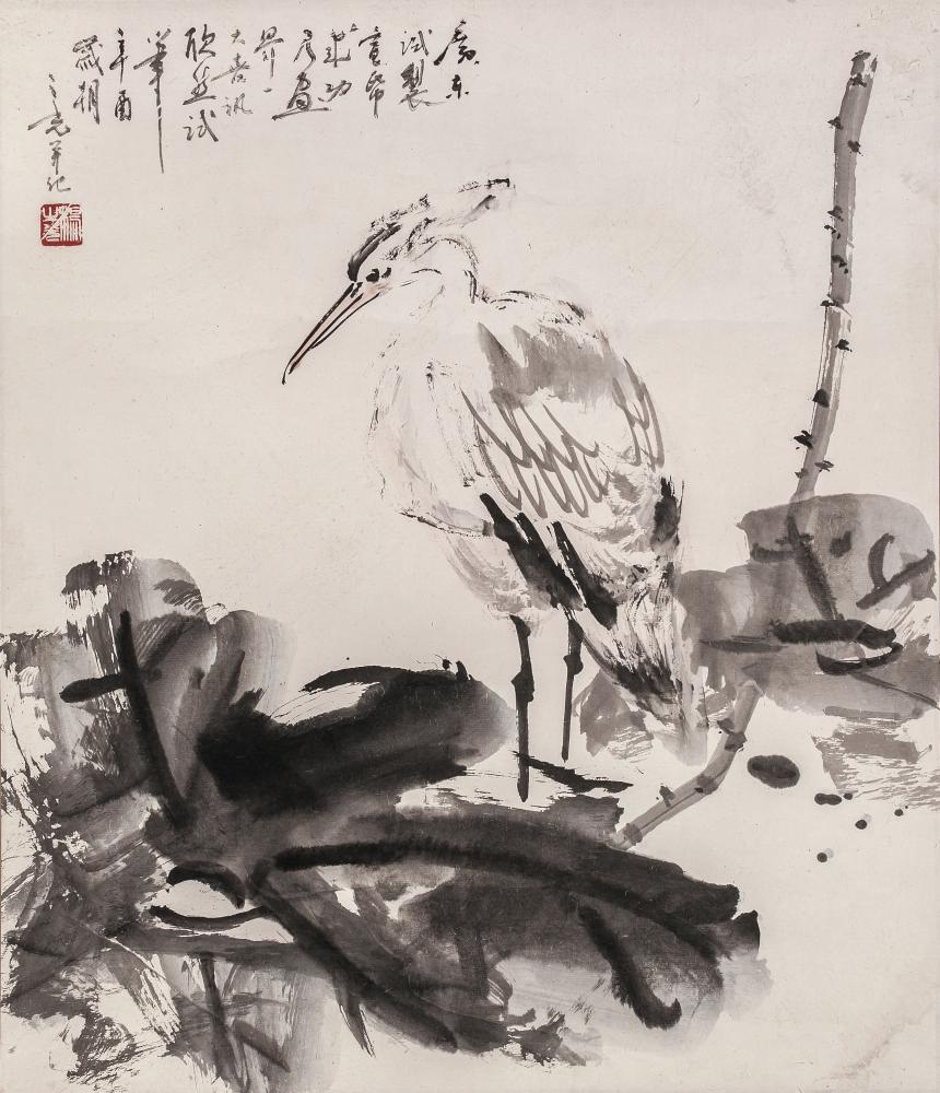 荷塘白鹭