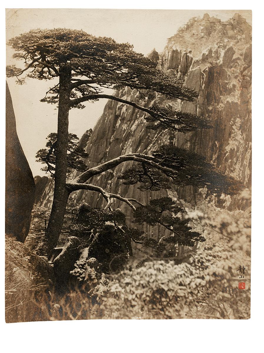 【郎静山摄影原作《黄山迎送松》】拍卖品_图片_价格_鉴赏_舆图照片