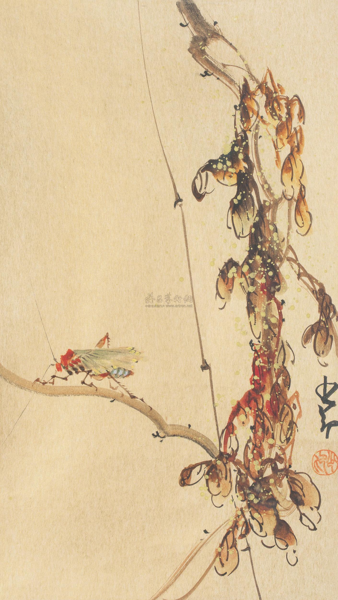 1009 蝉 镜框 纸本