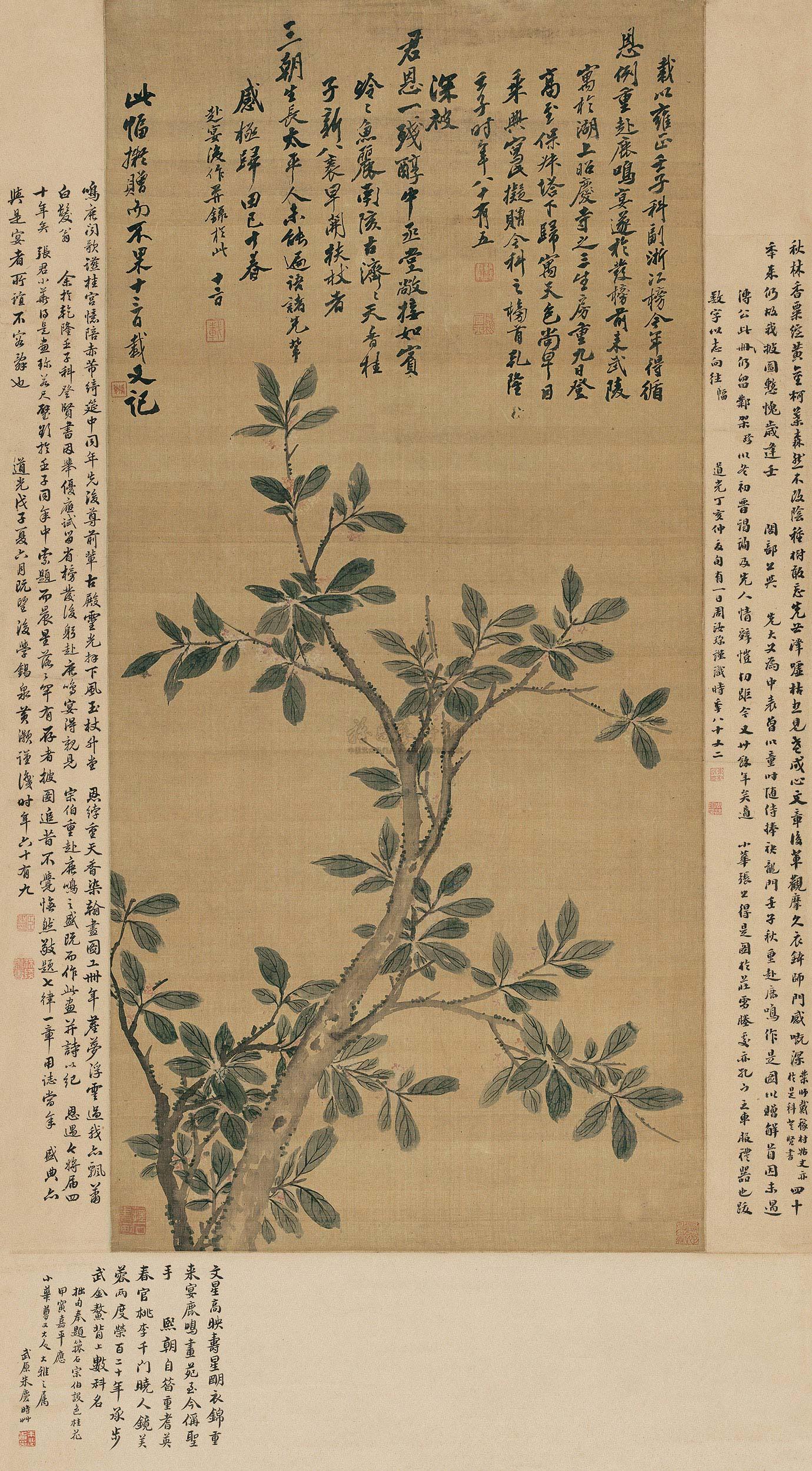 *1785 乾隆壬子(1792年)作 桂花 立轴 设色绢本