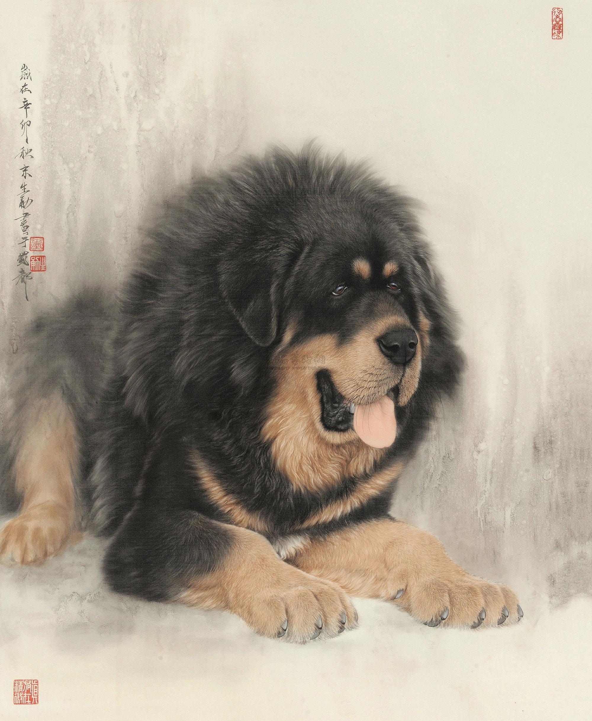【2011年作 藏獒 镜心 设色绢本】拍卖品_图片_价格_鉴赏_绘画_雅昌