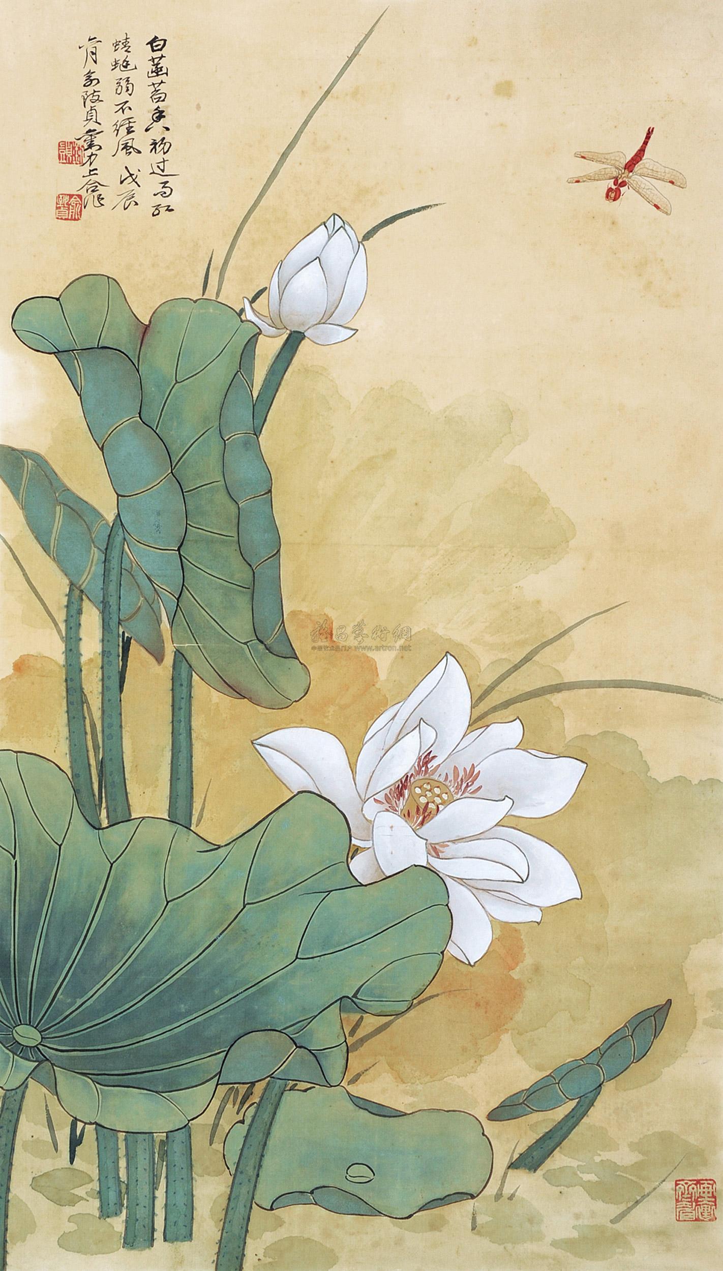 0436 荷花蜻蜓 镜片 设色纸本