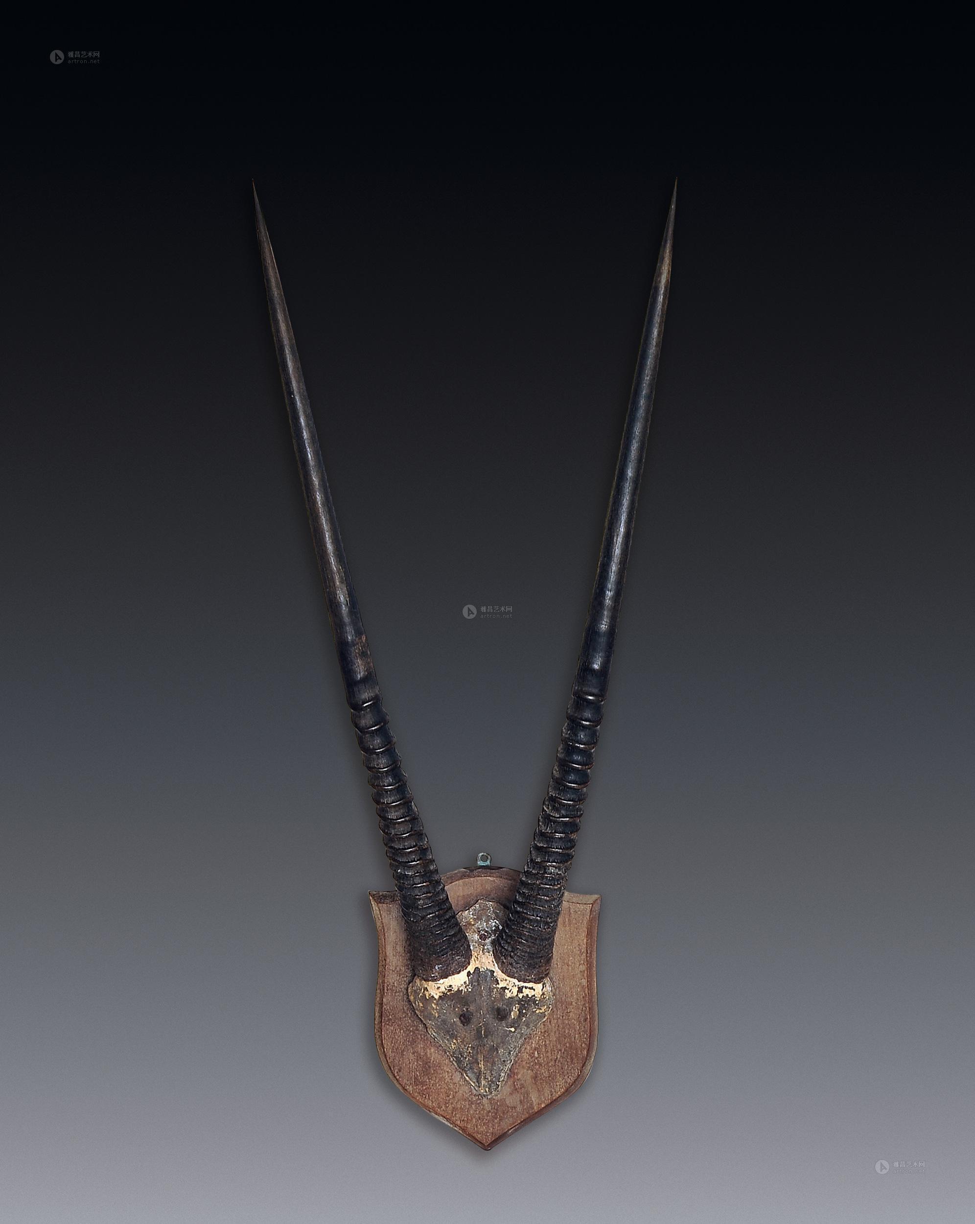 【非洲大羚羊角】拍卖品_图片_价格_鉴赏_工艺品其它_雅昌艺术品拍卖