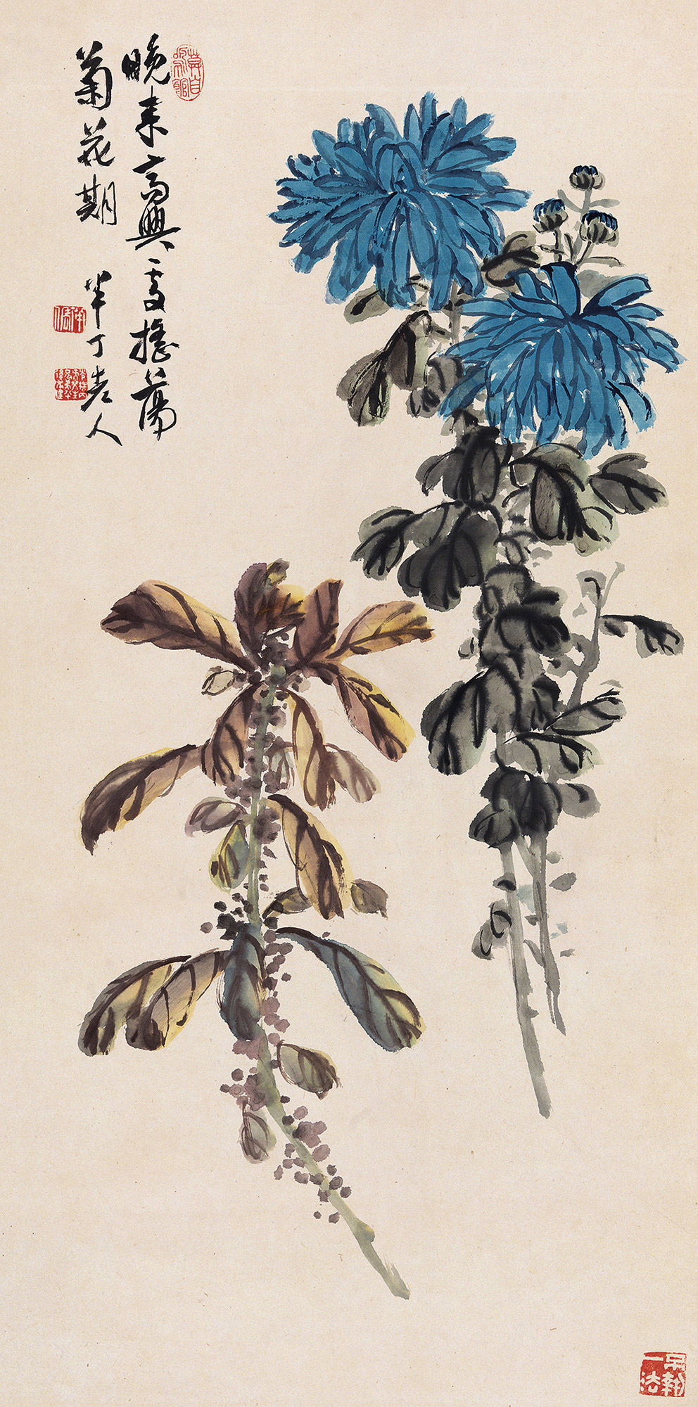 0885 菊花 立轴 设色纸本