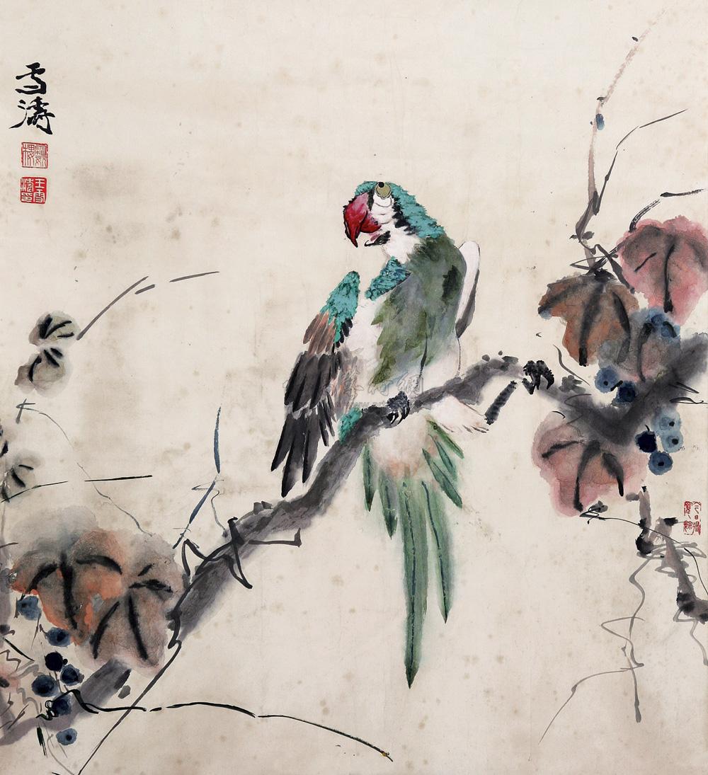 1306 鹦鹉 镜心 设色纸本
