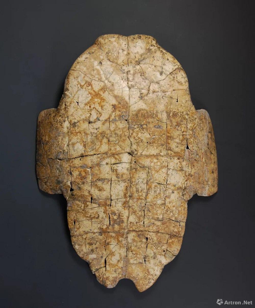 商代卜甲 商代甲骨文是我国最早用汉字记下的文字资料,距今超过3000年