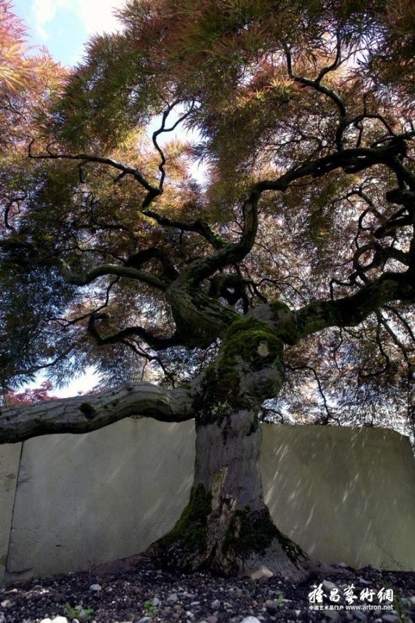 Enzo Enea：瑞士最着名的景观建筑师