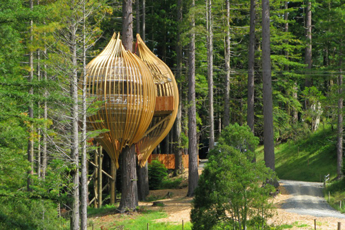 挂在树上的餐厅(Yellow Treehouse restaurant)