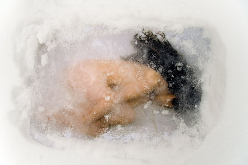 马秋莎：瓷瓶酸奶的酸甜回忆