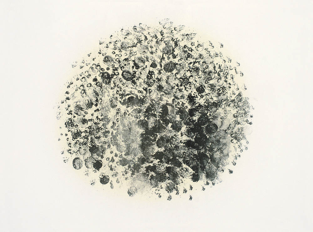 李晓宇《鸟》系列