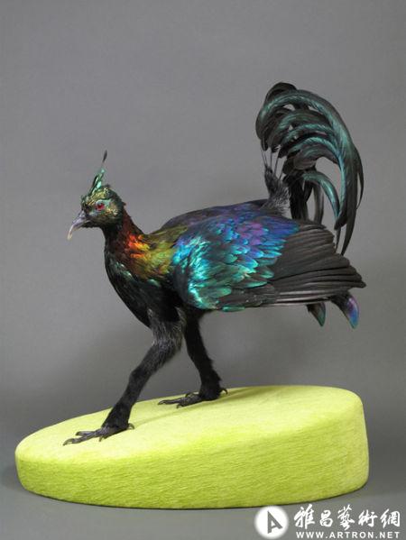 疯狂艺术家用动物器官做雕塑 被判入狱20个月