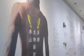 李小山个展：追寻生命意义的蜻蜓