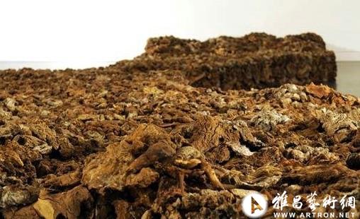 “心田：南澳大利亚当代艺术展”在当地美术馆展出