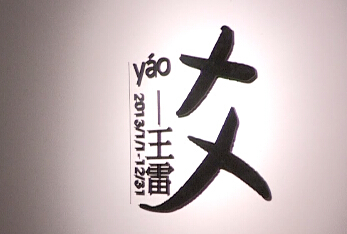 【雅昌带你看展览第275期】中国美术馆：“爻——王雷2013年1月1日至12月31日”